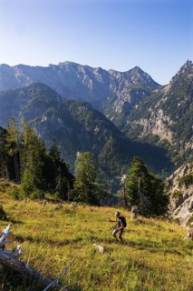 Hiker on the way to the Rinnkogel with a view of the Gamsfeld, Postalm, Osterhorngruppe,