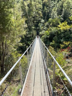Falls River Suspension Bridge on the Marahau coastal footpath, Abel Tasman National Park, South