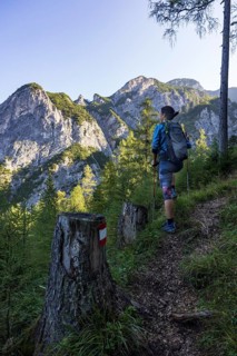 Hiker on the way to the Rinnkogel, Postalm, Osterhorn group, Salzkammergut, Salzburg province,