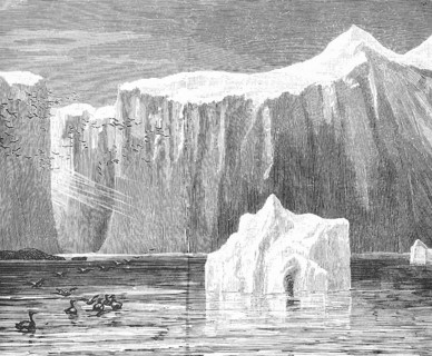 Icebergs floating in the Labrador Sea south of Greenland, ducks and birds, polar region, climate