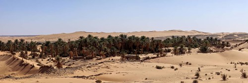 An oasis in the middle of a vast desert landscape with palm trees and sand dunes under a blue sky,