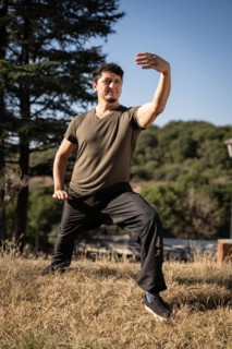 Wide shot of a man in a Tai Chi Chuan posture outdoors on a sunny day
