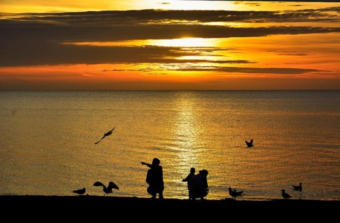 Family (silhouettes) feeding seagulls in the sunrise, Baltic Sea, Schleswig-Holstein, Germany