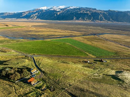 Grazing sheep, aerial view over meadows to glacier Eyjafjallajökull, Fljotsdalur valley, Iceland