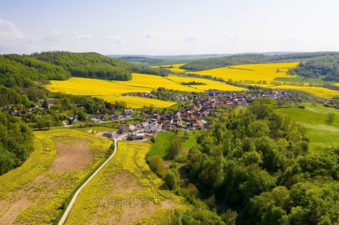 View of Wintzingerode, aerial view with blooming rape fields, Leinefelde-Worbis, Eichsfeld,