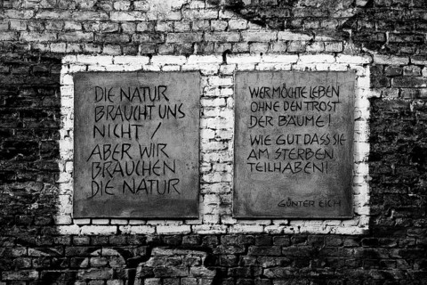 Das Wandbild mit dem Titel Weltbaum 2, Werden, Sein, Vergehen von Ben Wagin am S-Bahnhof