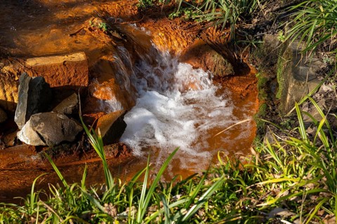 Red stream, ferrous water, Rombergpark, Dortmund, Ruhr area, North Rhine-Westphalia, Germany