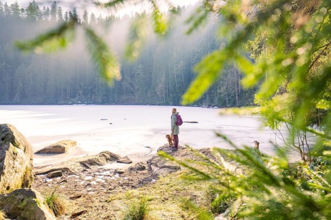 Woman with dog standing at frozen lake in winter forest, view through green branches, Glaswaldsee,