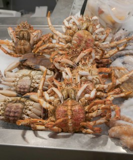 Spider crab, market, Mercado central, Cadiz, Spain