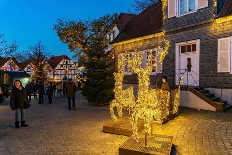 LED reindeer with sleigh at the Christmas market in Soest at dusk, North Rhine-Westphalia, Germany