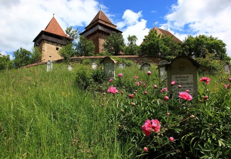 Romania, the fortified church and cemetery of Viscri, German German Weisskirch a town in the