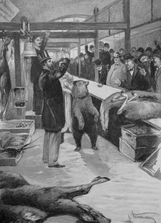 Bear Auction in the Berlin Market Hall, 1875, Germany, Historic, digitally restored reproduction of