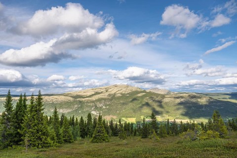 Cloudy sky over the fells, Tylldalen, Hedmark, Innlandet, Norway, June 2025