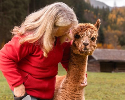 An elderly woman affectionately hugs an alpaca in the picturesque Austrian countryside, surrounded