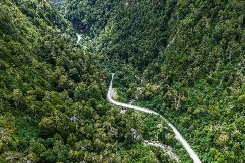 Road Carretera Austral, gravel road through cold rain forest, dead trees, north of Puerto Yungnay,