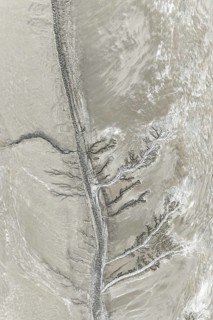 Aerial view of fractal mud patterns resembling a tree with branching paths. Subtle earthy tones