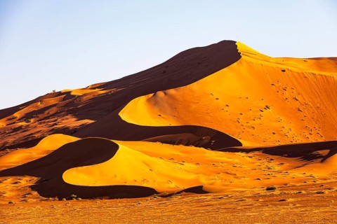 Wind-sculpted curved sand dunes in the evening light, in the Rub al Khali desert, Dhofar province,