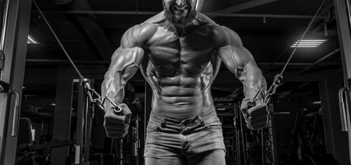Muscular athlete training in a crossover at the gym. Pumping the torso. Fitness and bodybuilding