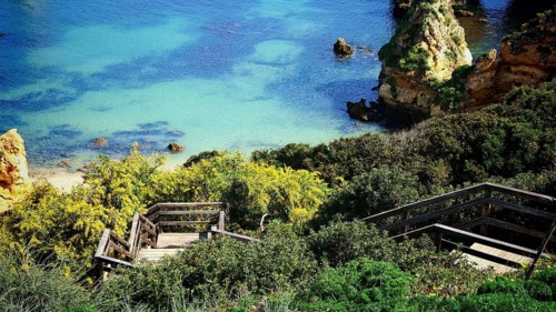 Wooden staircase leads through lush vegetation to a quiet beach, Praia do Camilo, Lagos, Algarve,