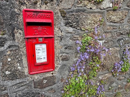 Roter Briefkasten in einer Steinmauer mit blühenden Blumen und Efeu, Penzance, Cornwall,
