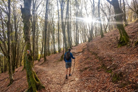 Male hiker with backpack and trekking poles walking in a forest path in aiako harria natural park,