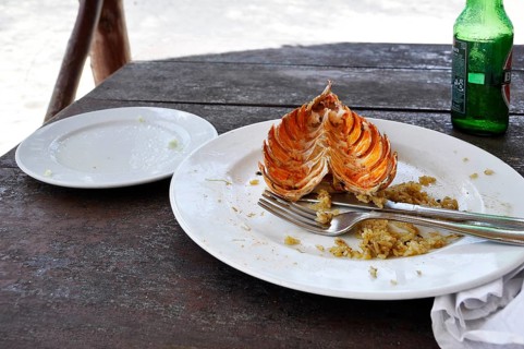 Plate and bottle after dinner in beach hut, Cuba, Caribbean, Central America