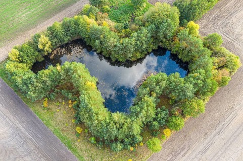 Small pond on farmland, surrounded by bushes, near Celle, Germany