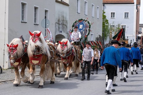 Horse and carriage Innstadt Bräu, Trachten- und Schützenverein Maidultfestzug, Parade to the