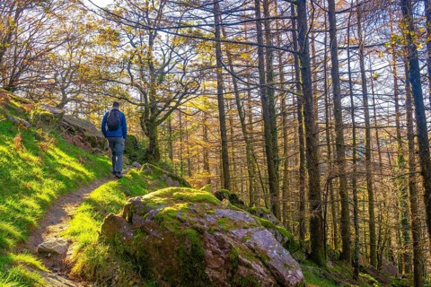 A young man in the forest on his way to the top of Mount Adarra in Urnieta, near San Sebastian.