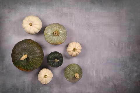Various green and white pumpkins, squashes and gourds on gray background with copy space