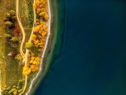Aerial view capturing the vibrant autumn colors of Queenstown, New Zealand. Golden trees line the