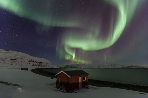 Green and violet northern lights over red hut on coast, aurora borealis, winter, snow, Repparfjord,