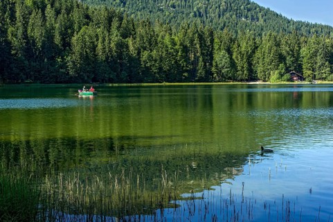 Spitzingsee, excursion, couple in a rowing boat on the mountain lake, on the right a common coot