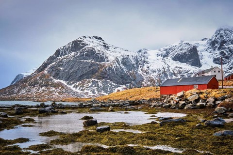 Red rorbu house in Norwegian fjord. Lofoten islands, Norway