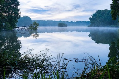 Daybreak with fog at blue hour in the Ahlhorner Fischteiche nature reserve of the Lower Saxony