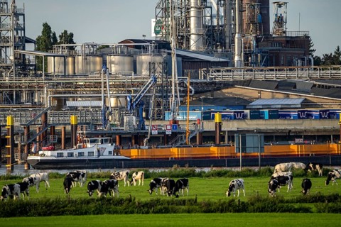 Cargo ship on the Rhine near Emmerich, Kao Chemicals scenery, KLK, Left Rhine pastures, Left Rhine,