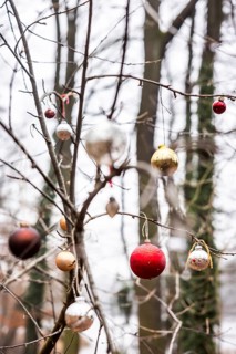 Christmas tree balls on trees in Grunewald, Zehlendorf, Berlin, Germany