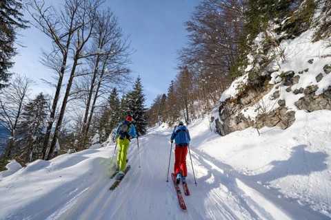 Two ski tourers in a snowy forest, ascent to Simetsberg, Estergebirge, Bavarian Prealps, Bavaria