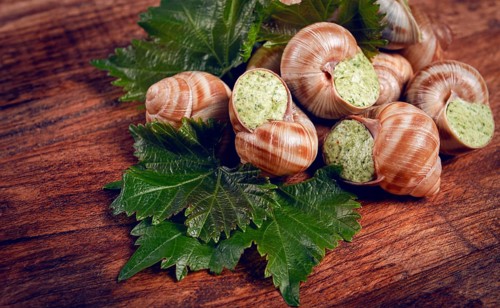 Snails stuffed in Burgundy, top view, with grape leaves, French cuisine, no people