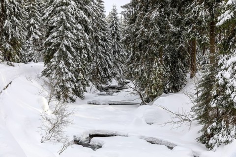 River Mummel in the snow, Harrachsdorf in the Giant Mountains, Czech Republic