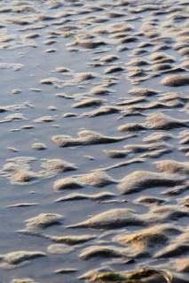 Baltic Sea beach, Usedom, Mecklenburg-Western Pomerania, Germany