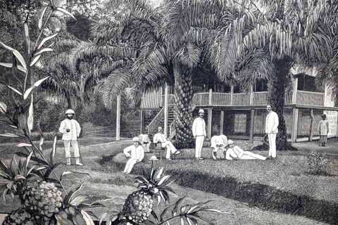 German tobacco plant in Sumatra, 1890, in the afternoon in front of a planter's home, illustration,