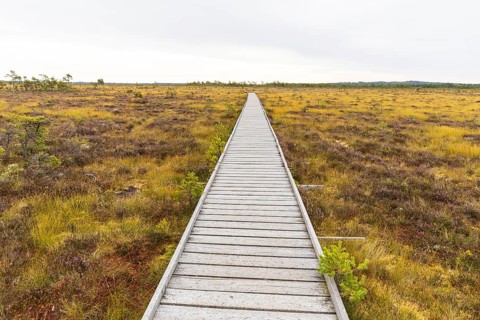 Wooden trail through Hochmor, Store Mosse National Park, Jönköpings län, Sweden