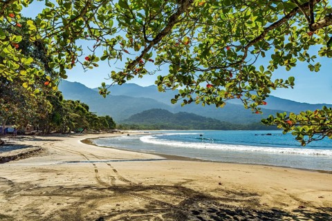 View of Castelhanos Beach on Ilhabela Island seen through the vegetation of the tropical forest
