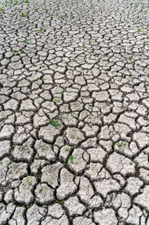 Dry ground, cracked, dried-up riverbed, in a branch of the Rhine, near Duisburg