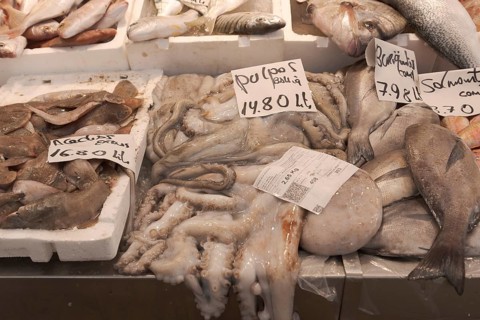Octopus, octopus, squid, market, Mercado central, Cadiz, Spain