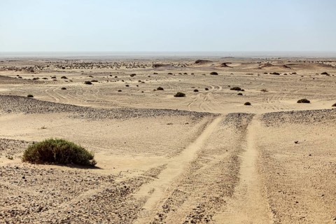 Barren desert landscape with a trail in the sand as far as the distant horizon, The sand dunes of