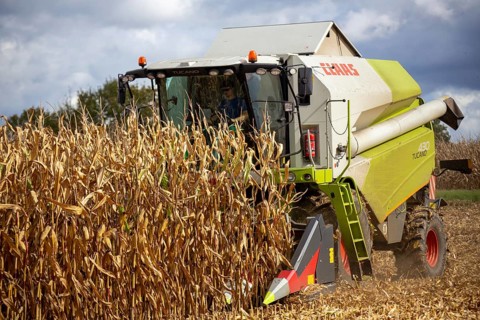 Maize harvest in the Vorderpfalz