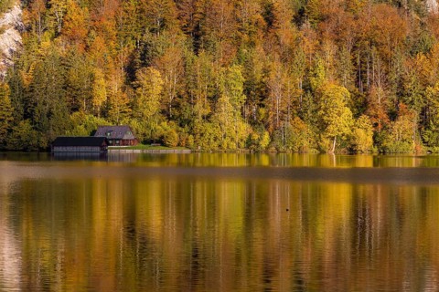 Lake Almsee in autumn with a forest reflected in the lake