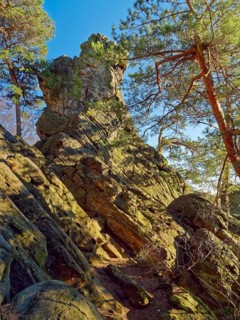 The Dörenther Cliffs, boulders and trees rooted into the rock, in the UNESCO Geopark TERRA vita in